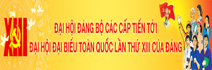 Dai Hoi Dang