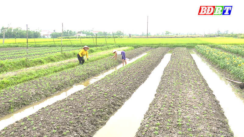 Phuong Quang Long Day Manh Phat Trien Kinh Te 639